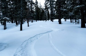 Several Tahoe ski resorts get 2 feet of snow