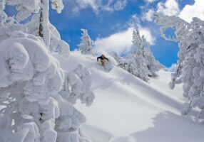 Bluebird powder days are back at Tahoe ski resorts.