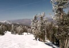 Heavenly ski resort in Lake Tahoe is known for its many tree-area runs.
