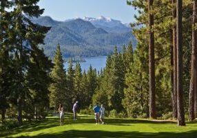 The Championship course is a public par-72 regulation course with a classic Robert Trent Jones Sr. design that is perennially ranked as one of the top courses in Nevada and Lake Tahoe. 